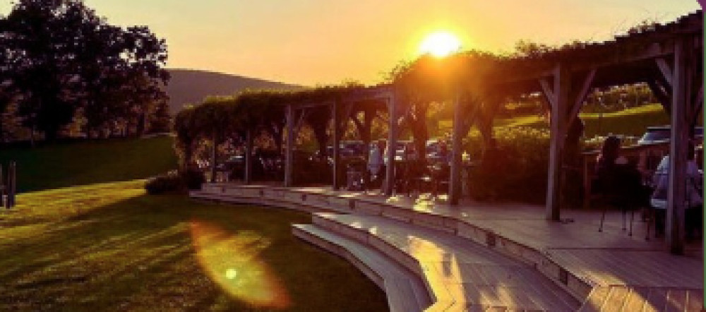 Full-Day Luxury Wine Country Tour of 3 Handpicked Loudoun Wineries