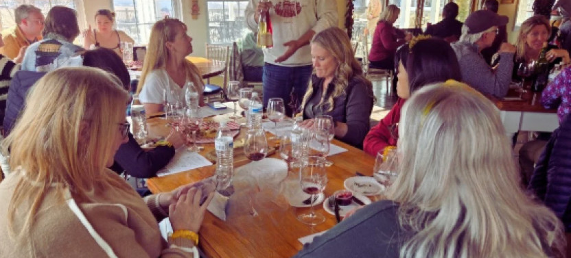 Full-Day Luxury Wine Country Tour of 3 Handpicked Loudoun Wineries
