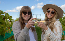 Ambassatours Grayline11