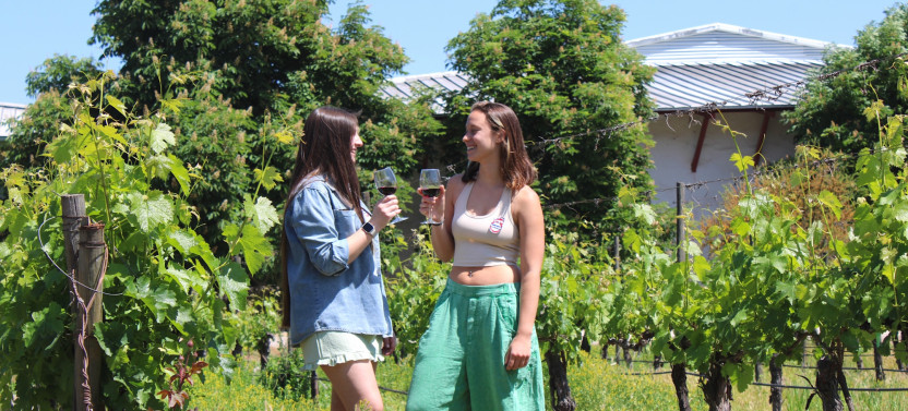 Santa Rita Winery Bike Tour with Premium Tasting and Lunch in Maipo Valley