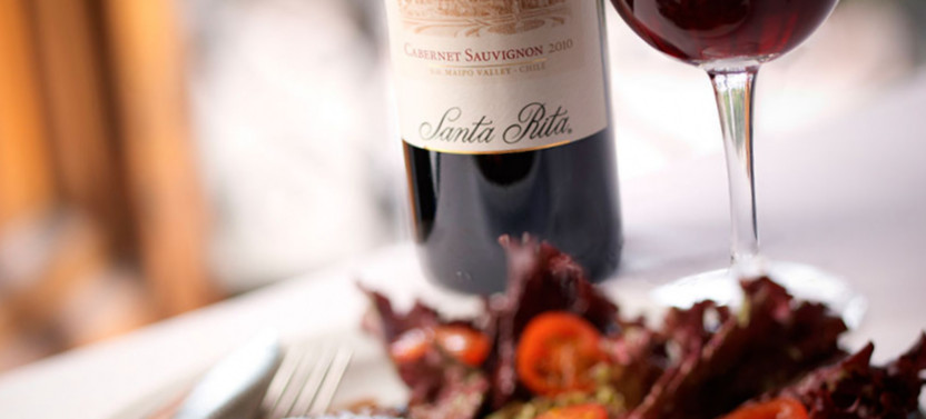 Santa Rita Winery Bike Tour with Premium Tasting and Lunch in Maipo Valley