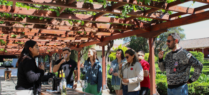 Santa Rita Winery Bike Tour with Premium Tasting and Lunch in Maipo Valley