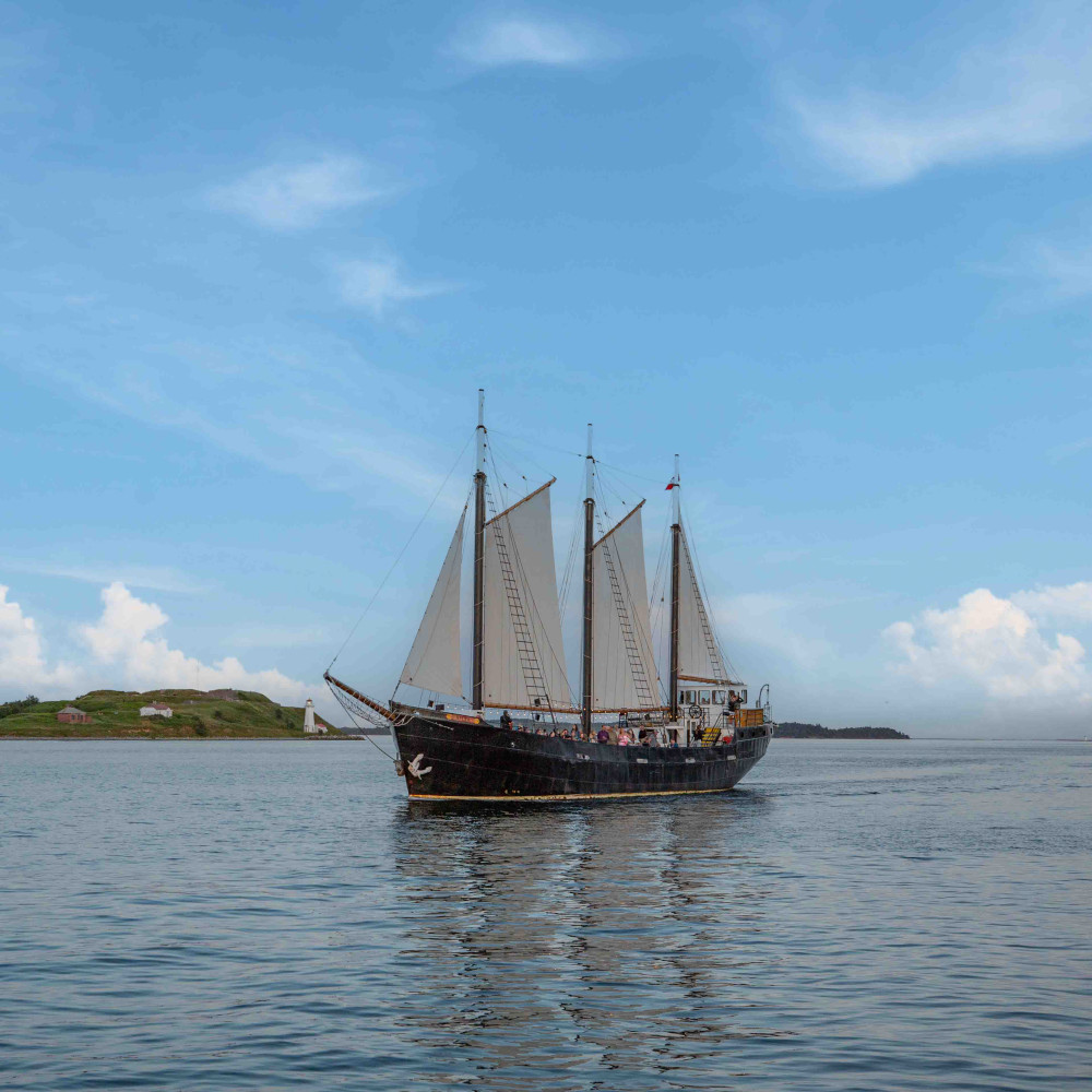 Tall Ship Silva Sailing Cruise