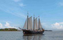 Ambassatours Grayline12