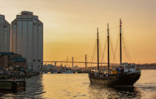 Ambassatours Grayline14