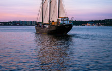 Ambassatours Grayline17