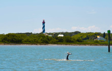 Fury Water Adventures Key West12