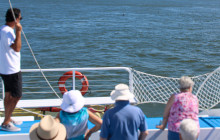 Fury Water Adventures Key West7