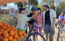 Athens By Bike2