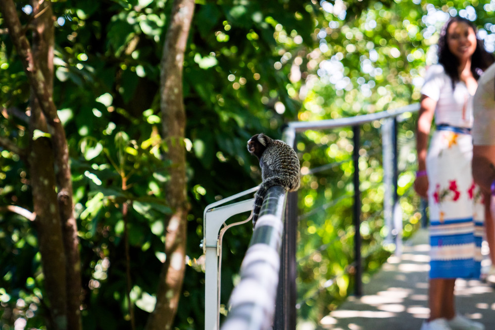 C2Rio Tours & Travel