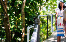 C2Rio Tours & Travel10