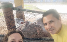 Alaska Snowbird Tours LLC2