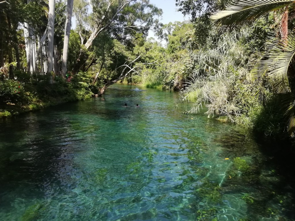 Springs in Mexico: Yecapixtla and Las Estacas Tour