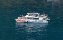 VMT Madeira11