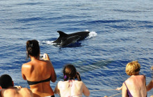 VMT Madeira12