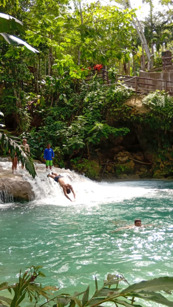 Ellis Tours & Transfers Jamaica