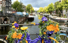 Dutch Cultural Journeys8