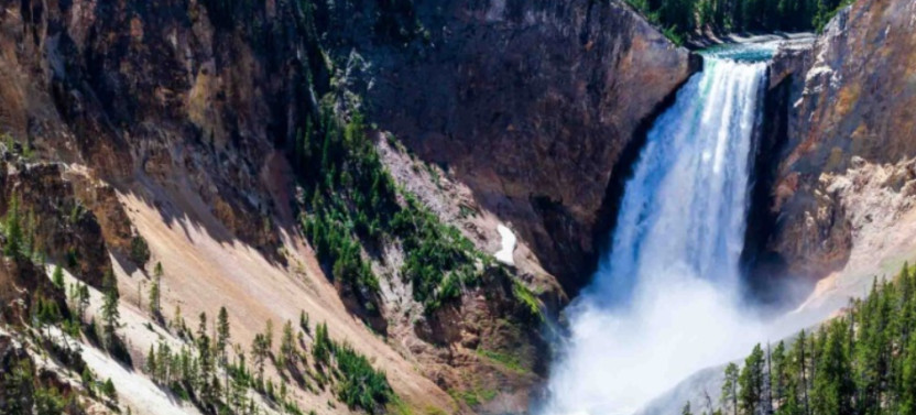 Private Full-Day Yellowstone & Grand Teton Wildlife Safari