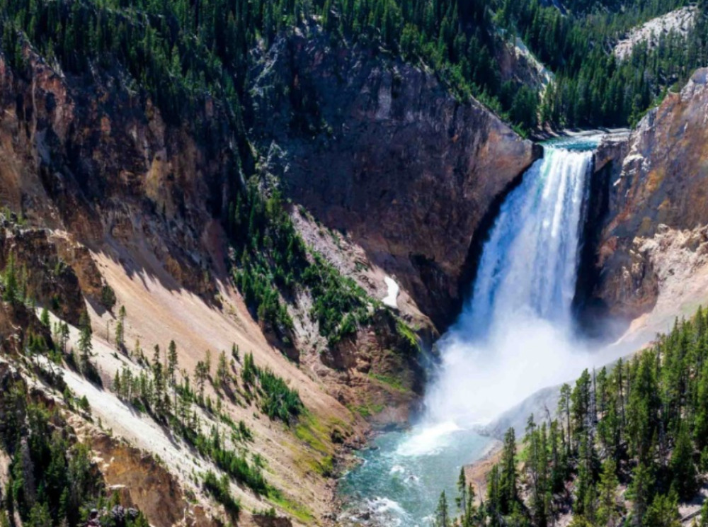 Private Full-Day Yellowstone & Grand Teton Wildlife Safari