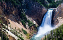 Jackson Hole Wildlife Safaris10