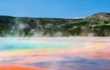 Jackson Hole Wildlife Safaris2