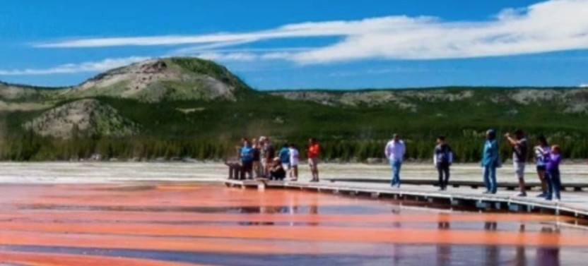 Private Full-Day Yellowstone Highlights Tour with Naturalist Guide