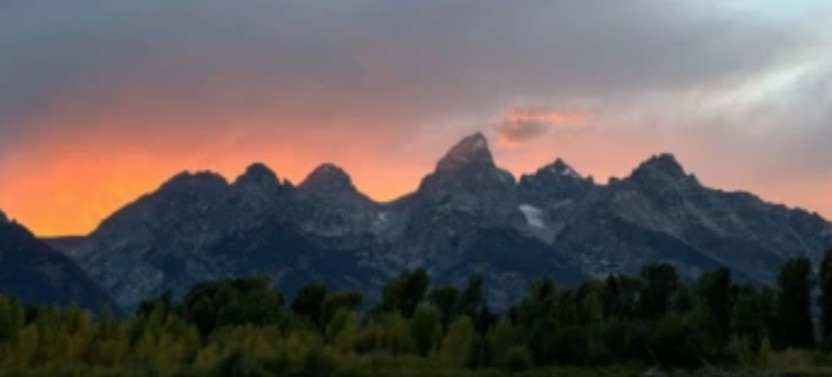 Private Full-Day Wildlife Photography Safari in Grand Teton National Park