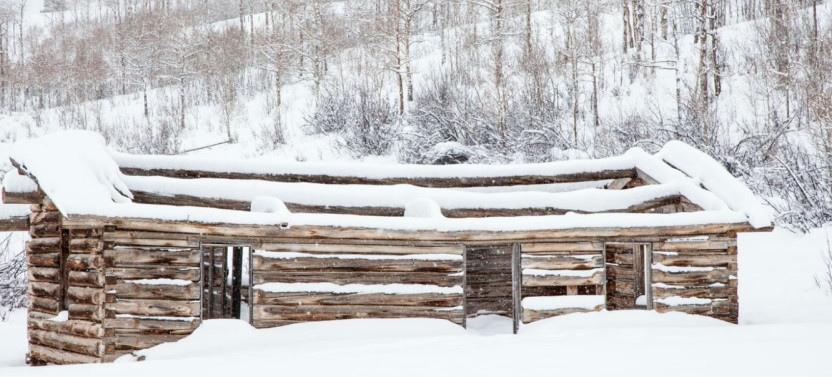 Half-Day Winter Wildlife Safari in Grand Teton & National Elk Refuge