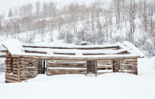 Jackson Hole Wildlife Safaris2