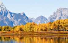 Jackson Hole Wildlife Safaris3