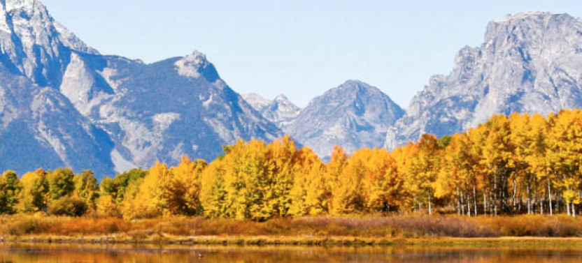 Private Grand Teton Evening Snake River Float & Sunset Wildlife Safari