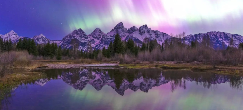 Private Evening Wildlife Safari & Stargazing Astronomy Tour in Grand Teton