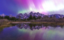 Jackson Hole Wildlife Safaris2