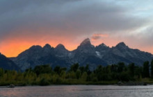 Jackson Hole Wildlife Safaris3