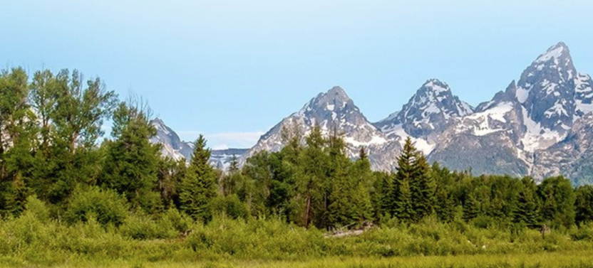 Private Grand Teton Scenic Float on the Snake River