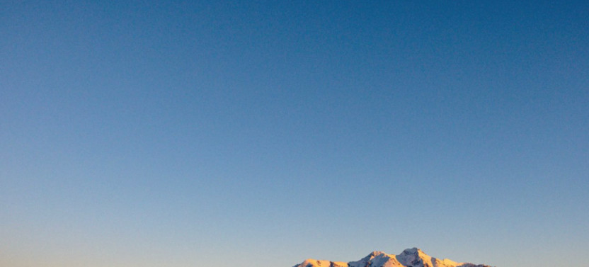 Private Evening Wildlife Safari & Stargazing Adventure in Yellowstone