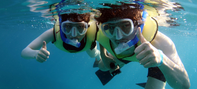 Zipline Adventure & Snorkel Cruise with Buffet on Oahu