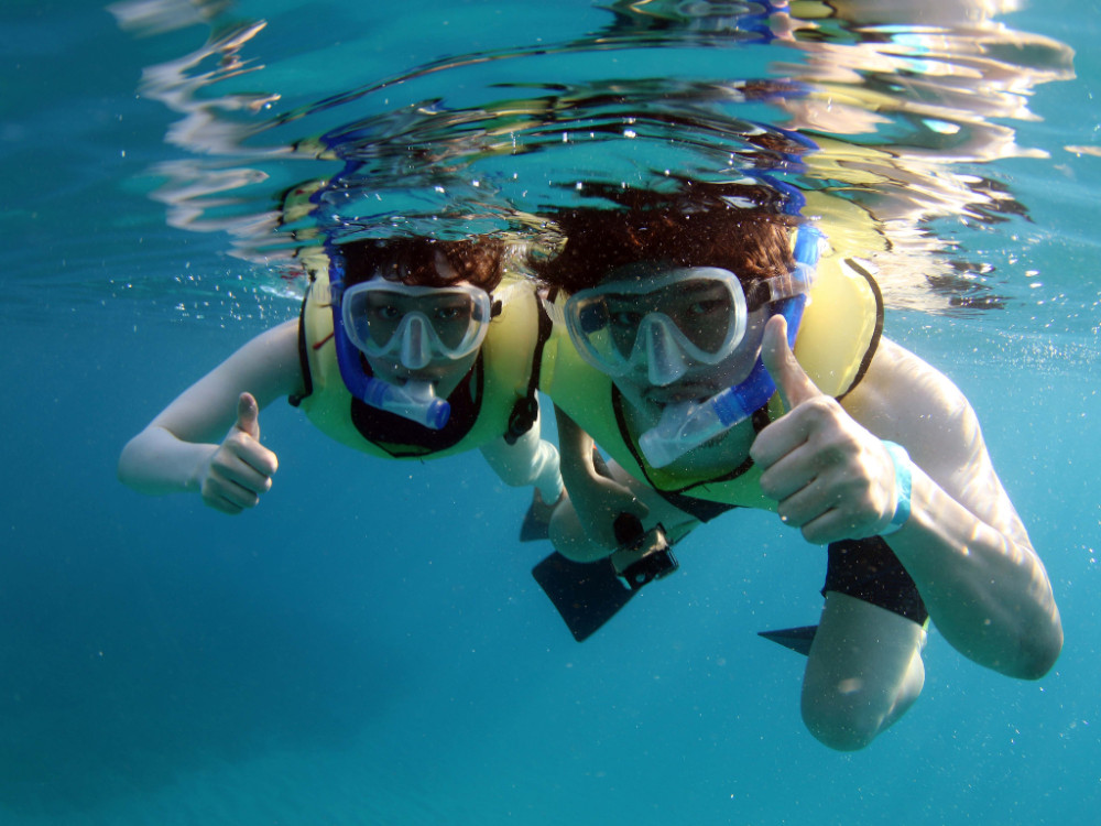 Zipline Adventure & Snorkel Cruise with Buffet on Oahu
