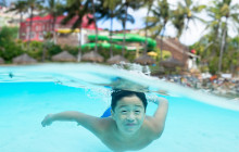 Malama Tours7