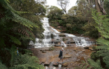 Wine Hop And Coastal Tours Pty Ltd8