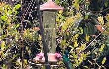 Medellin City Services5