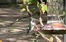 Medellin City Services7