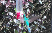 Medellin City Services8