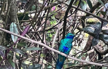 Medellin City Services9