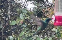 Medellin City Services10