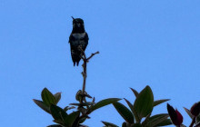 Medellin City Services11