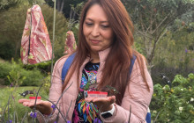 Medellin City Services12