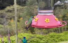 Medellin City Services1