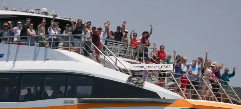 Boxing Day Cruise on Ocean Dreaming 2 from Darling Harbour