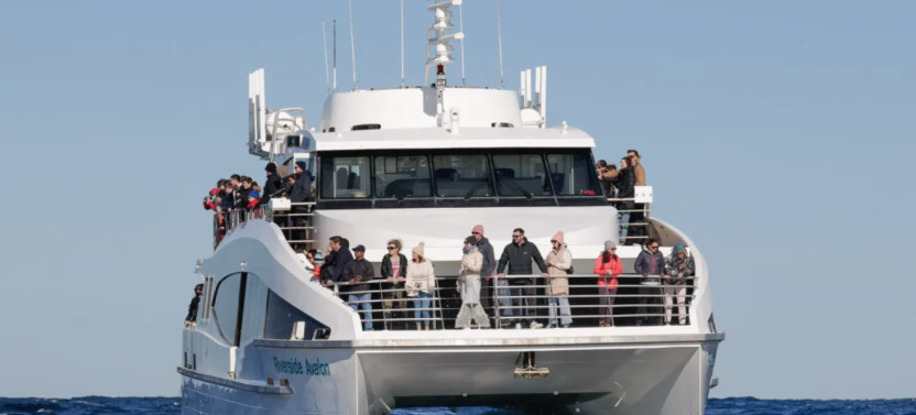 Boxing Day Sydney to Hobart Yacht Race Cruise on Fantasea Avalon